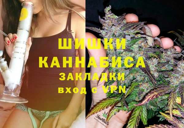 амф Козельск