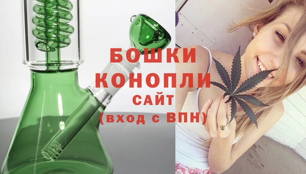 дмт Кодинск