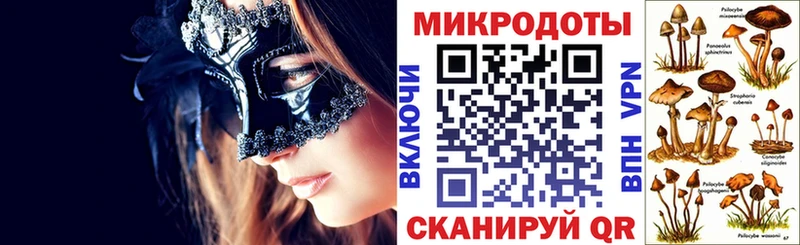 Галлюциногенные грибы Psilocybe  магазин  наркотиков  Суровикино 